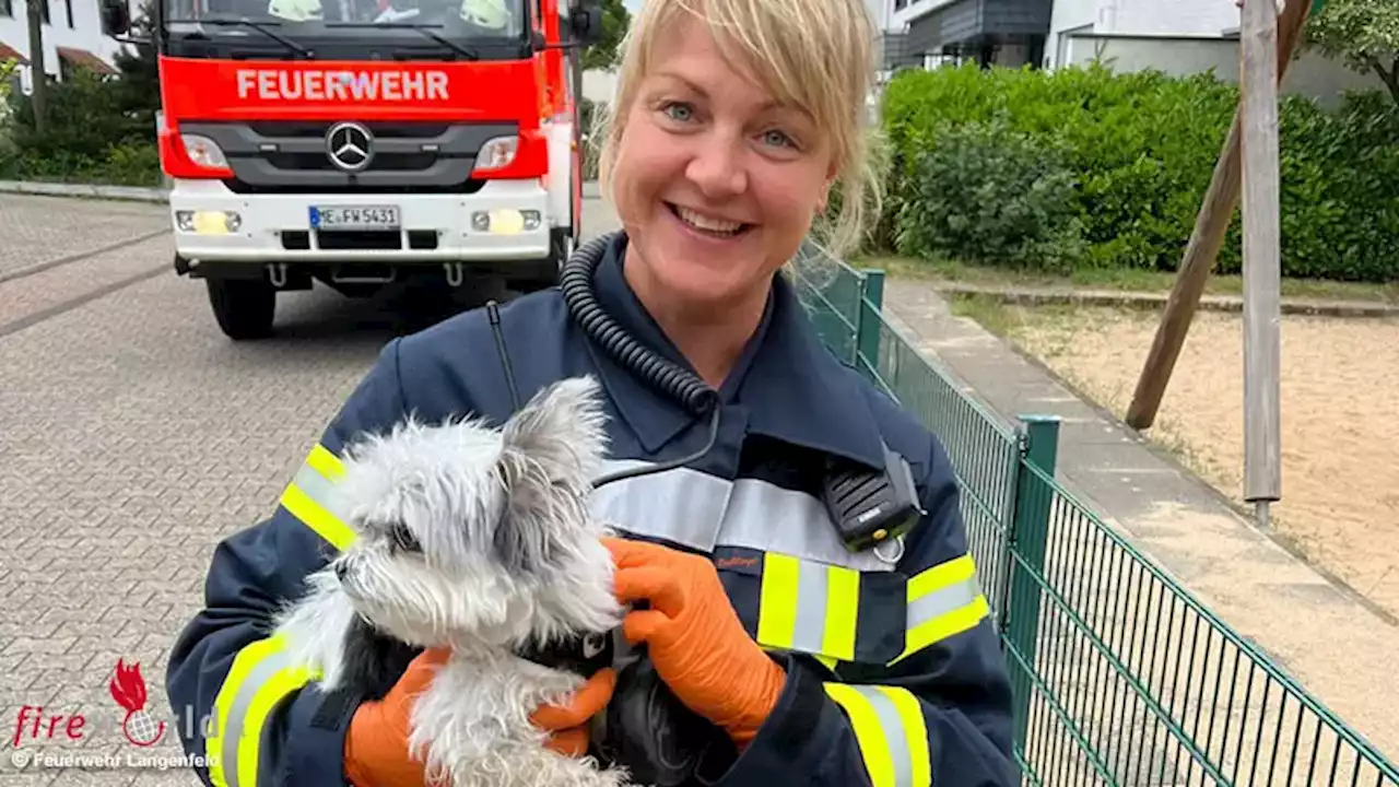 D: Frau und Hund nach Sturz in Langenfeld gerettet