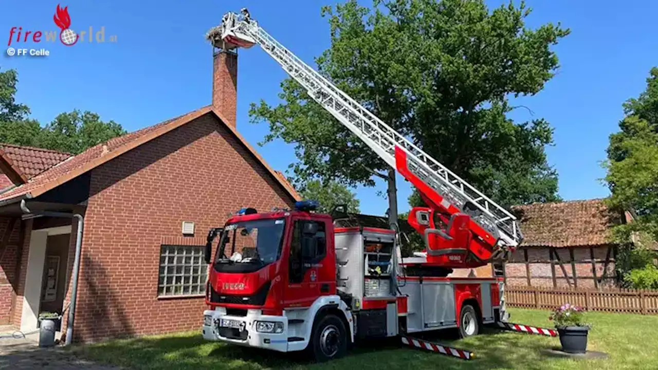 D: NABU und Celler Feuerwehr beringen Störche im Landkreis Celle