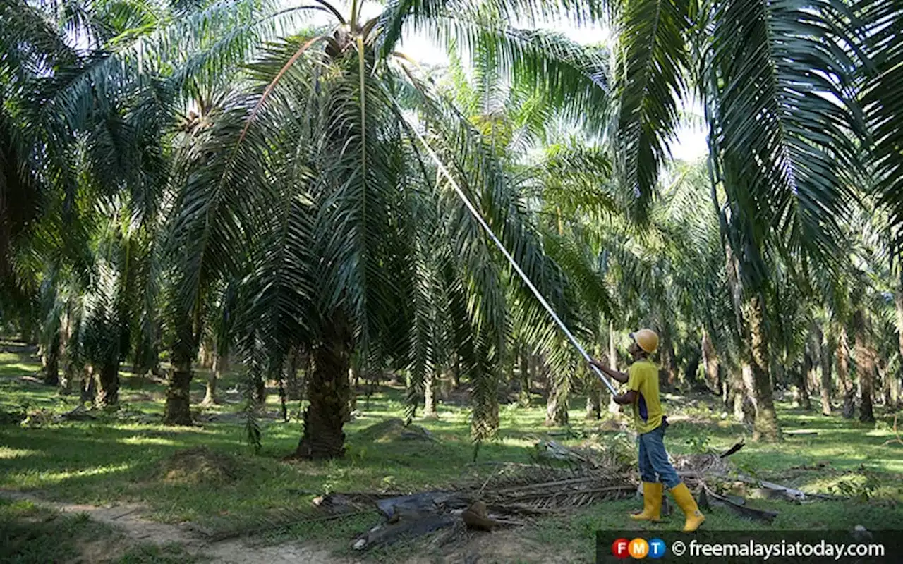 Mudah Felda laksana projek jika kerajaan negeri, pusat sama, kata Shabery