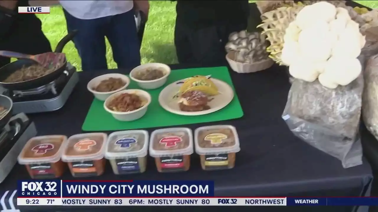 Windy City Mushroom wants to bring mushrooms to the masses