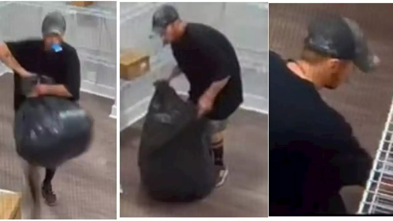 Mail thief steals 16 packages; police seek help identifying suspect