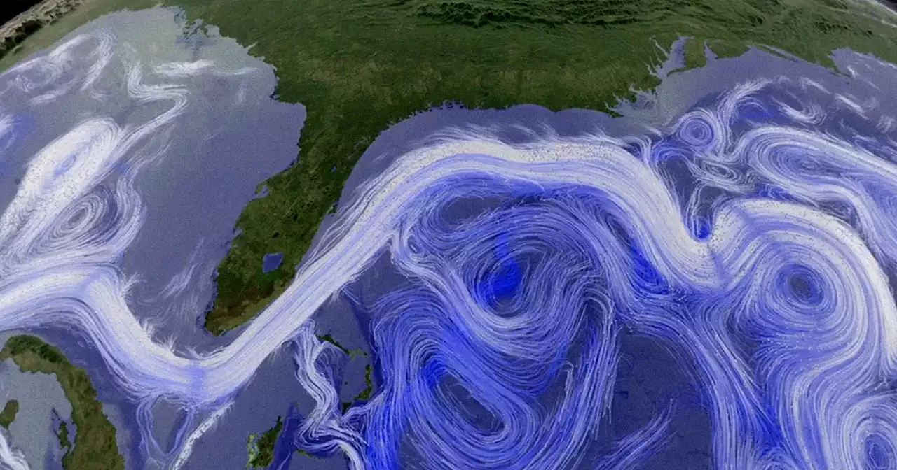 Scientists Say Atlantic Current Collapse Could Lead to Extreme Cold in Europe and South America