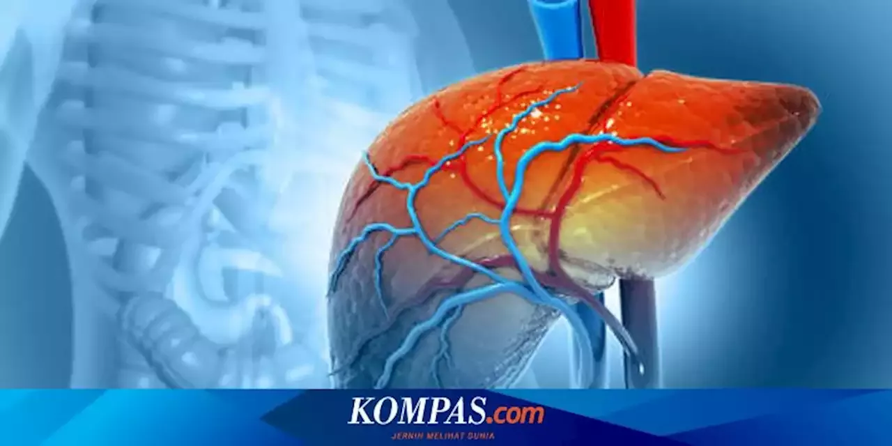 Mengenal Apa Itu Hepatitis C Gejala Penyebab Dan Cara Mengatasinya