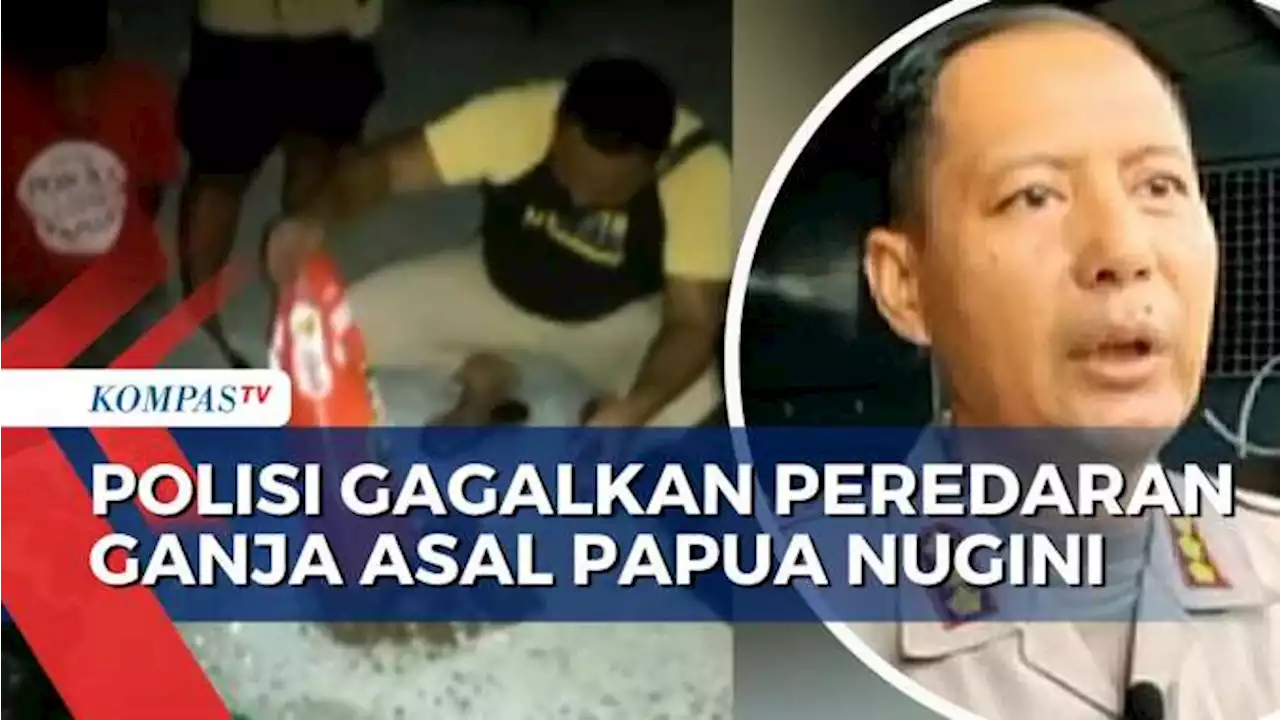 Polda Papua Gagalkan Peredaran 8 Karung Ganja Asal Papua Nugini