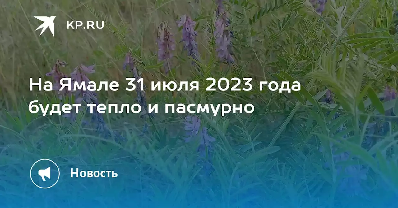 На Ямале 31 июля 2023 года будет тепло и пасмурно