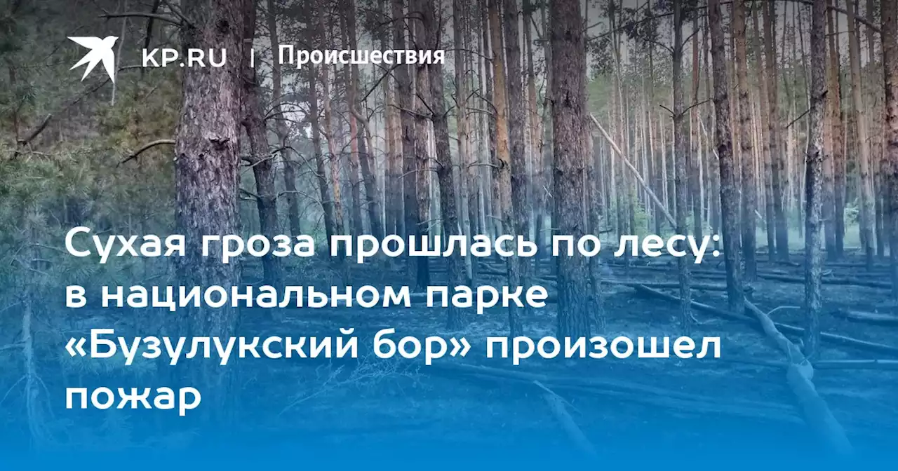 Сухая гроза прошлась по лесу: в национальном парке «Бузулукский бор» произошел пожар