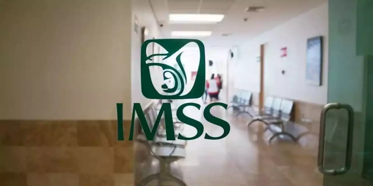 Modalidad 40 del IMSS: ¿Qué es y cómo puede ayudarte a mejorar tu pensión?