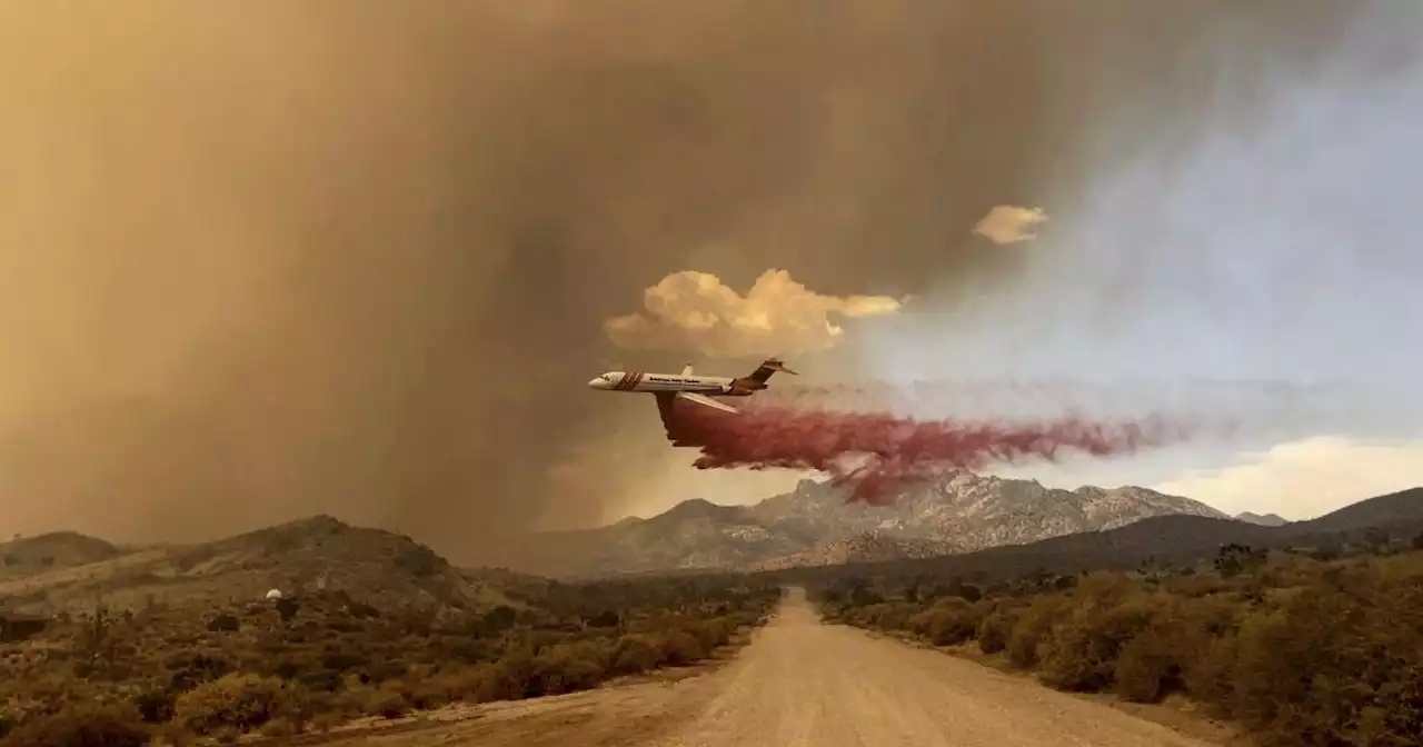 York fire at California-Nevada border balloons to 77,000 acres