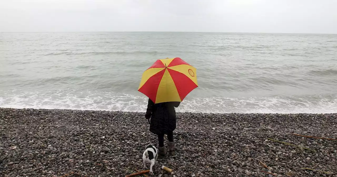 Sécheresse : pourquoi le retour de la pluie ne suffira pas