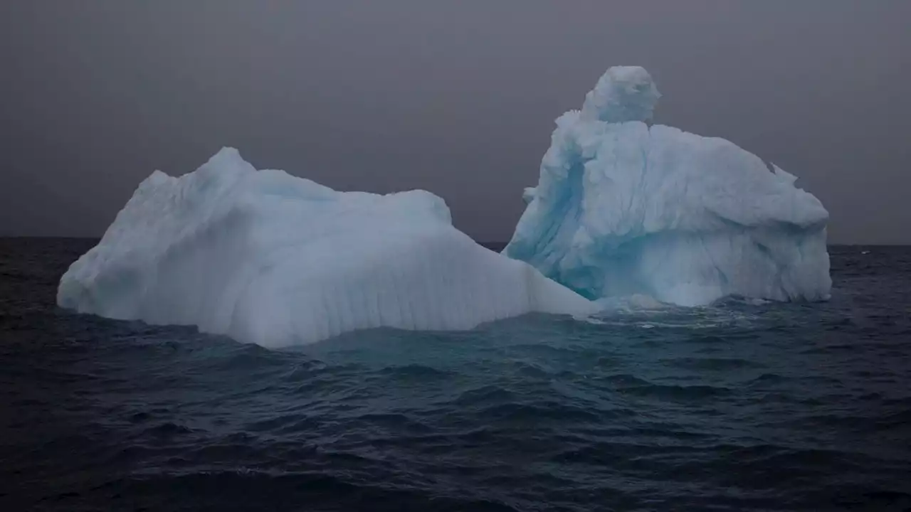 Alarma: la Antártida perdió un pedazo de hielo del tamaño de la Argentina