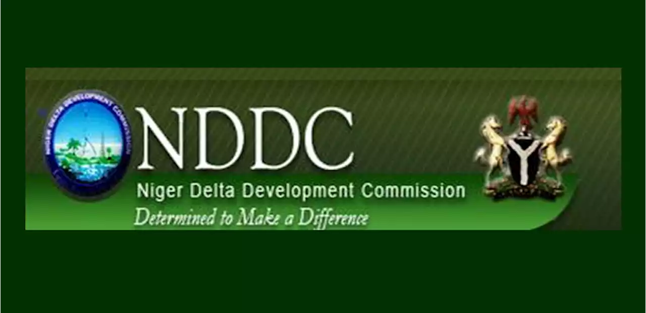 Tackle N’Delta flood, group urges NDDC - Punch Newspapers