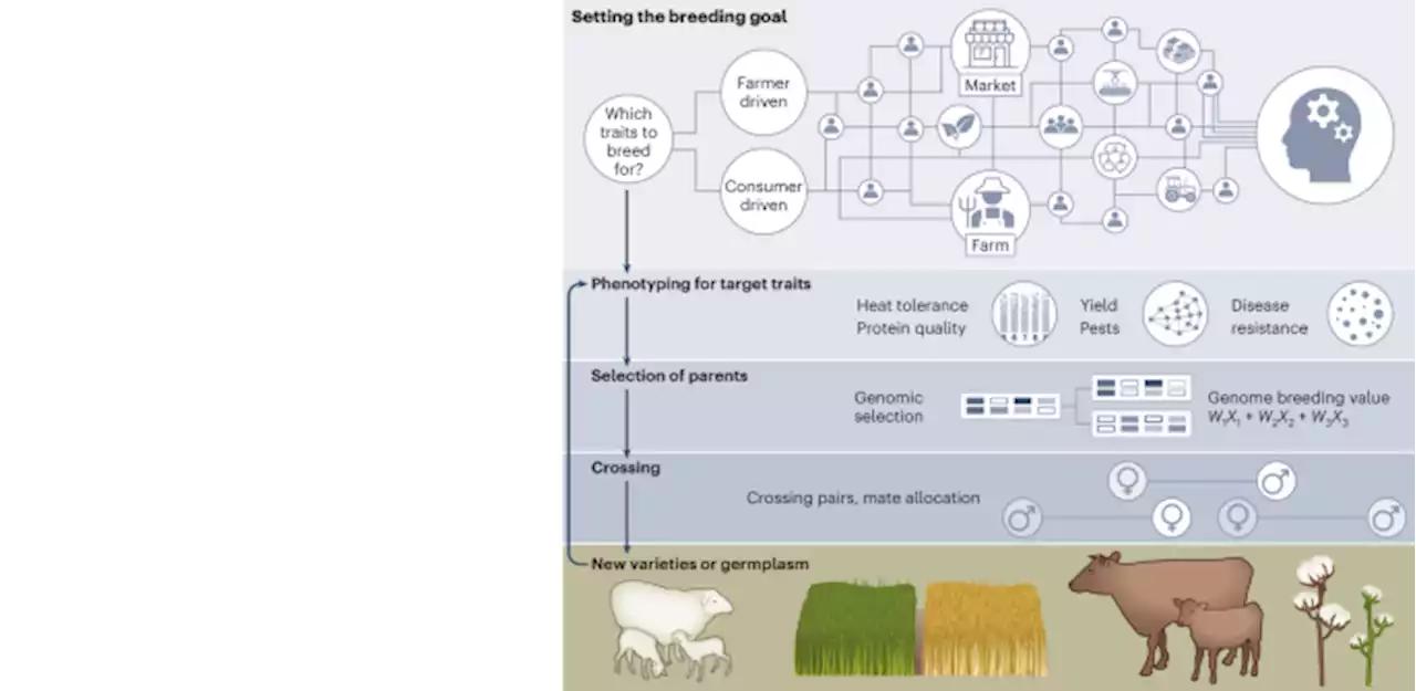 Advancing artificial intelligence to help feed the world - Nature Biotechnology