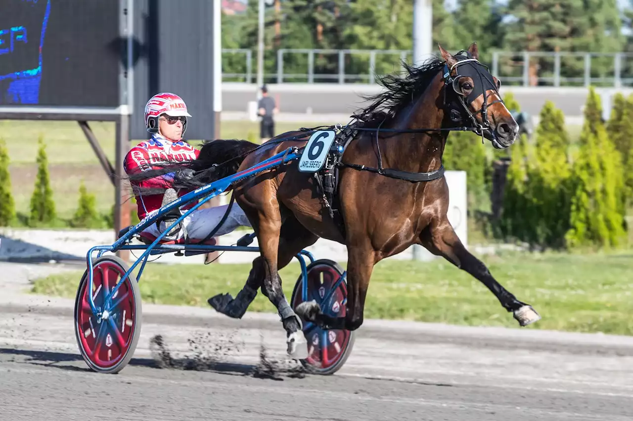 Talentet innfrir som kveldens beste V65-banker på Momarken