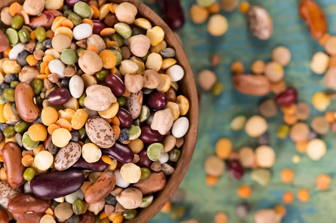 Assessing the quality of proteins and the unique benefits of pulses