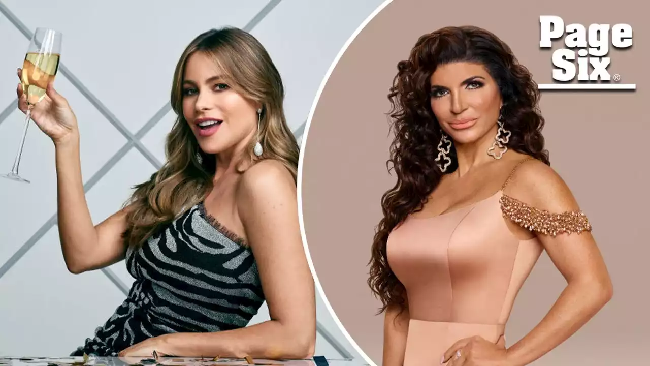 Teresa Giudice calls Sofía Vergara the ‘rudest’ celebrity she’s ever met