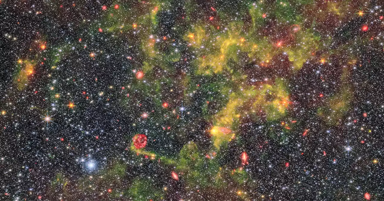 Webb's Photo of This Influential Galaxy Teaches a lot About the Early Universe