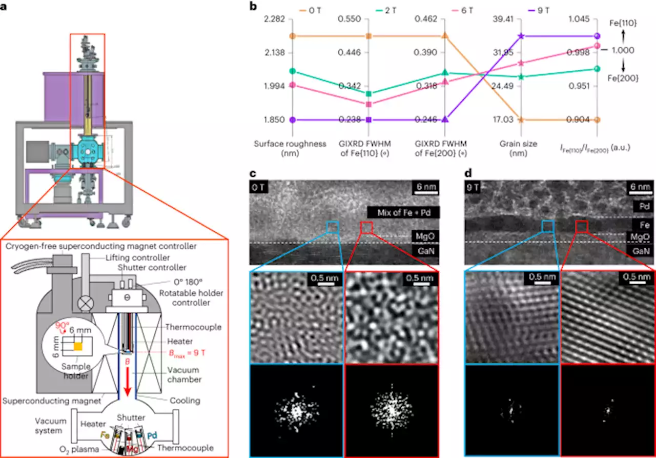 Topology-induced chiral photon emission from a large-scale meron lattice - Nature Electronics