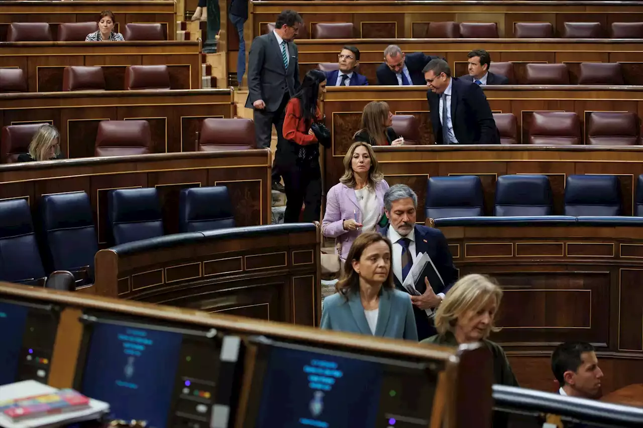 Así será el nuevo Congreso: mayoría de diputados novatos; Sumar y PP tendrán los grupos más renovados