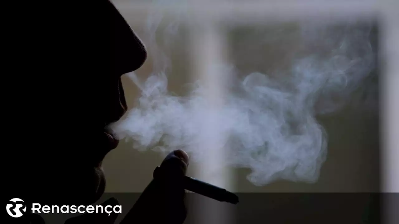 OMS. Só quatro países estão a fazer o máximo para travar o tabaco - Renascença