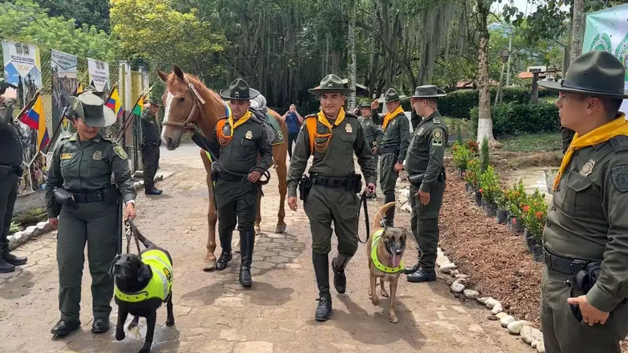 Así fue la emotiva jubilación de dos perros y un caballo, que prestaron sus servicios en la Policía y salieron como héroes