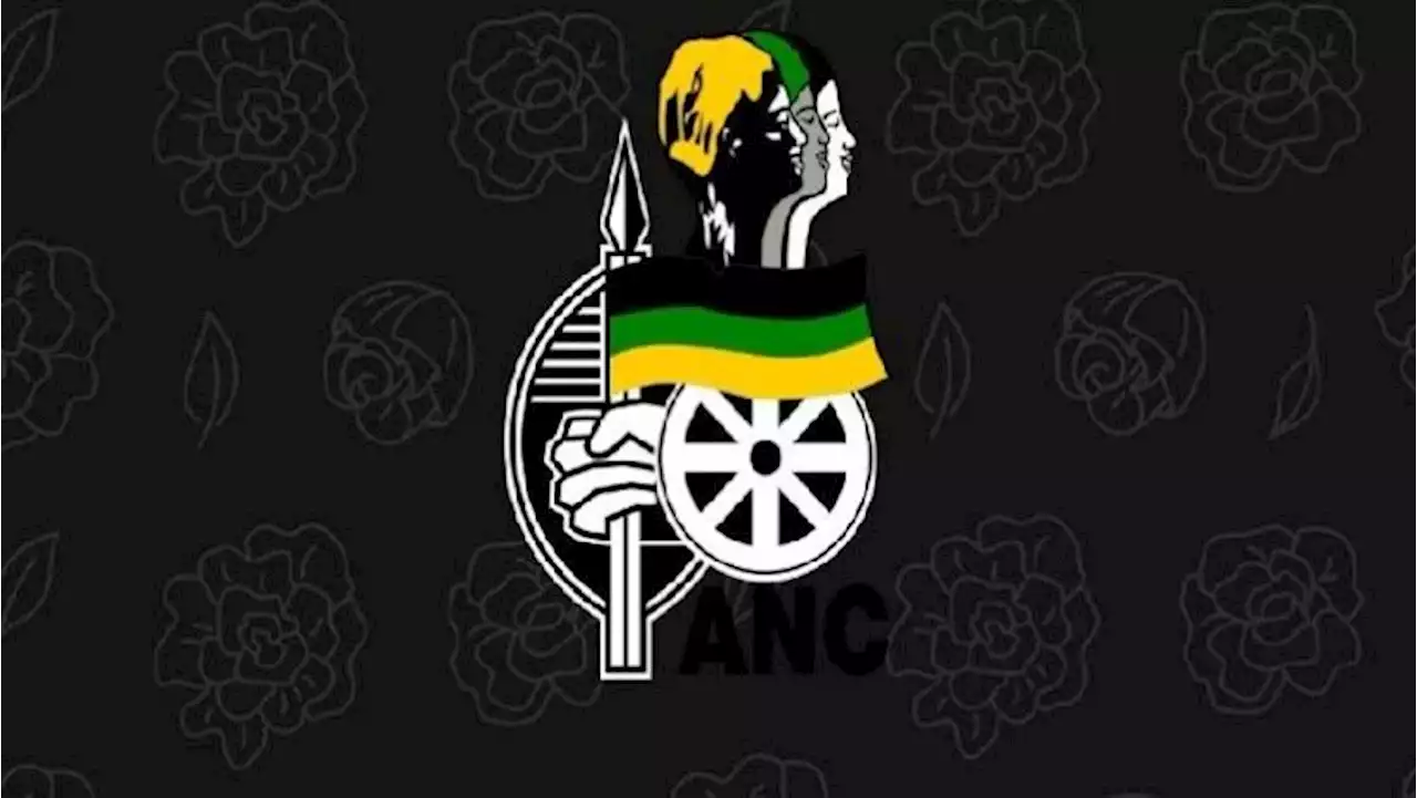 Limpopo ANC to nominate female candidate for premier position - SABC News