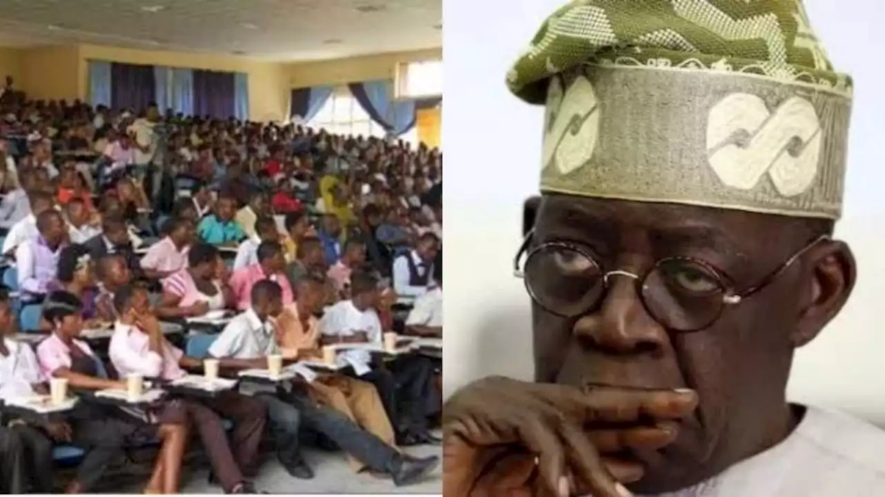 Don't Give Us Loans Or Buses; Provide Quality Funding For Education – Students Solidarity Group Tells President Tinubu | Sahara Reporters