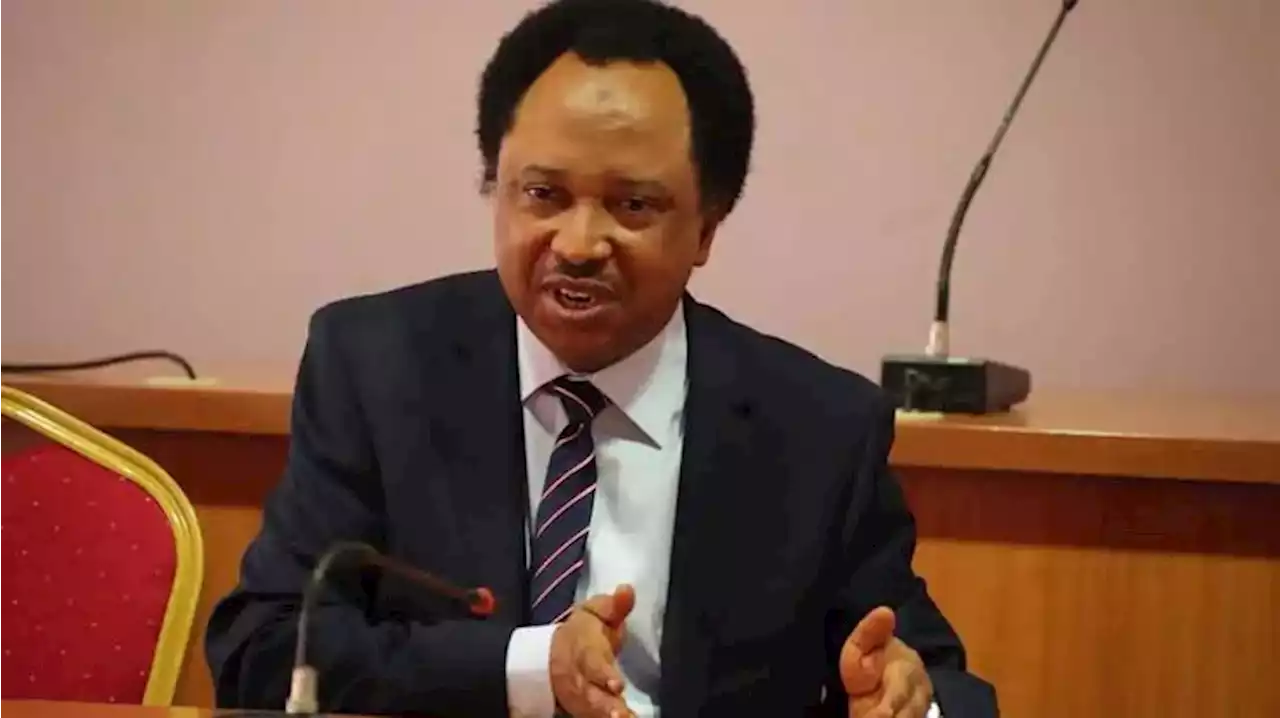 Shehu Sani Lambasts Nigerian Oil Marketers, IPMAN For Demanding N250bilion As Transportation Costs | Sahara Reporters