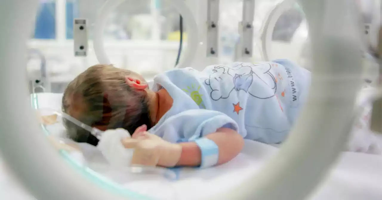Um dos bebés do Santa Maria está infetado com bactéria multirresistente