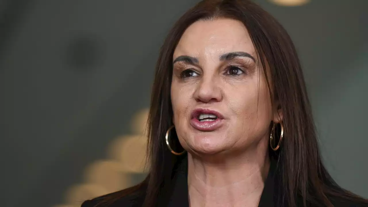 Jacqui Lambie fires up over Andrews' gas ban in Victoria