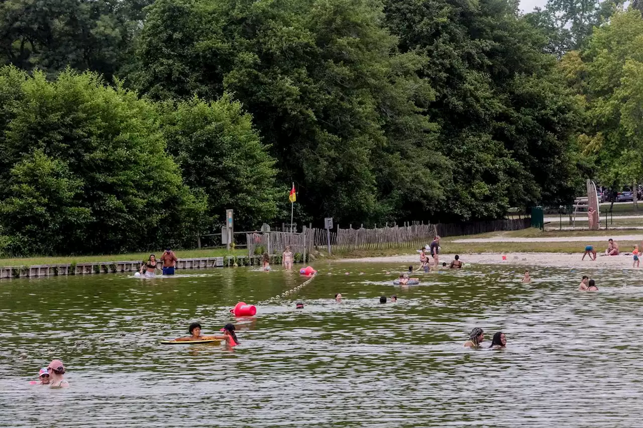 Quoi faire avec les enfants ? Baignade, catamaran et astronomie… Cinq activités dans la région cette semaine