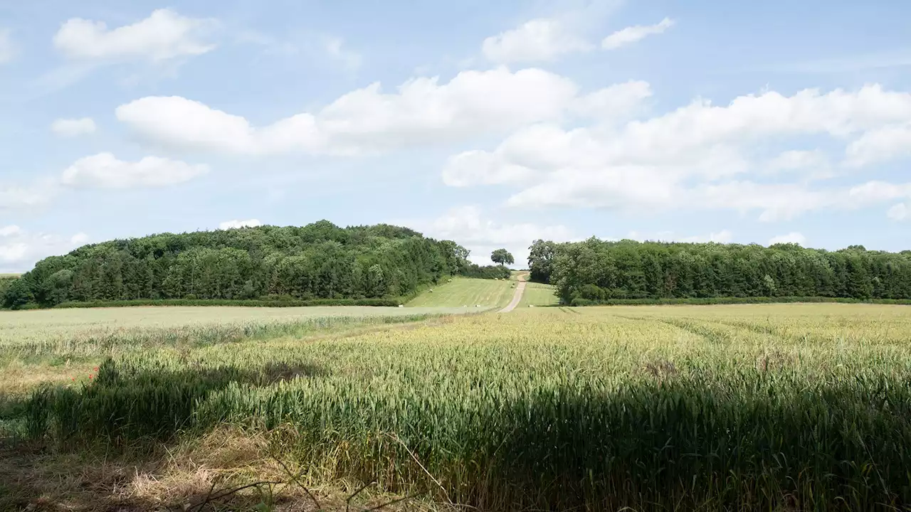 Our favourite summer walks in Lincolnshire