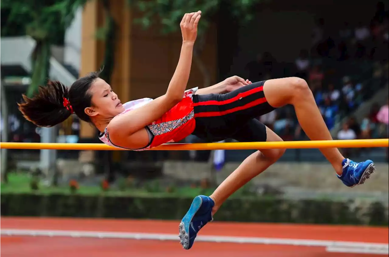 Zamboanga Del Sur student wins first gold in 2023 Palarong Pambansa