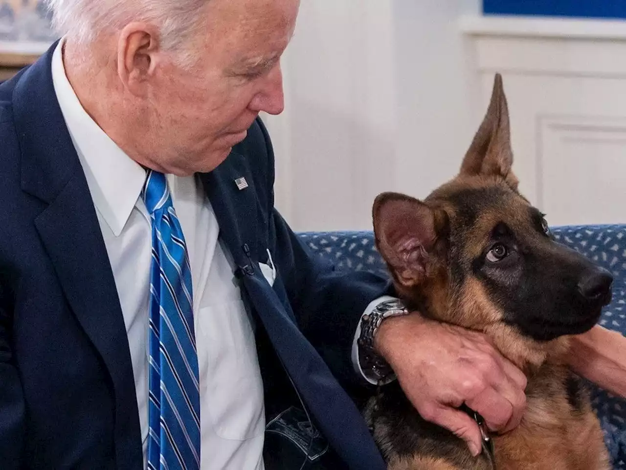 A bad week for the Bidens with son Hunter’s legal woes and a dog that bites