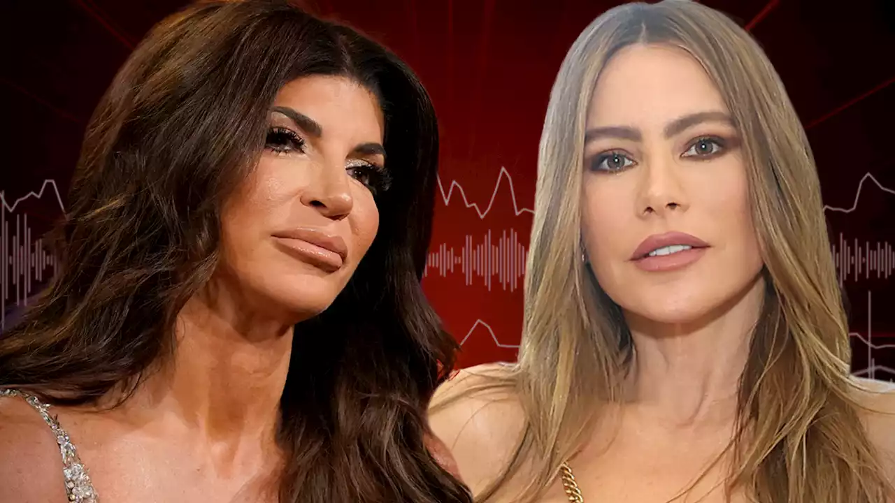 Teresa Giudice Doubles Down on Sofia Vergara Hate, Mocks Accent