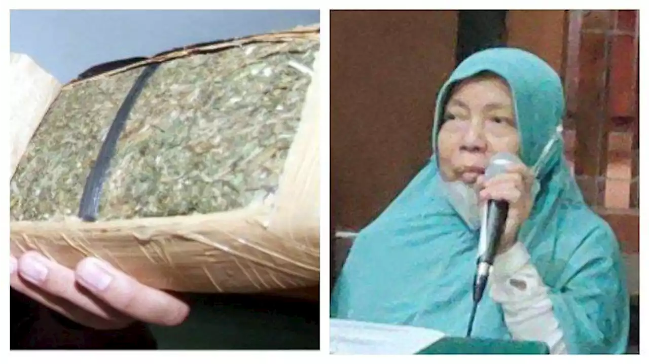 Nasib Pilu Ibu Penjual Gorengan Divonis 5 Tahun usai Terima Paket Ganja, Merasa Dijebak Anak Sendiri - Tribunnews.com