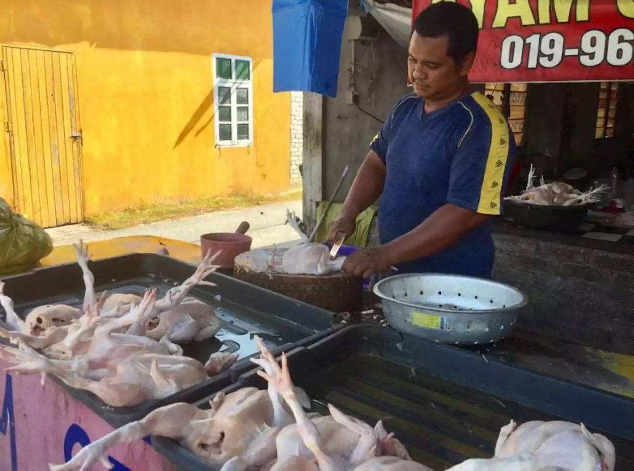 Harga ayam turun RM2 hingga RM3 sekilogram