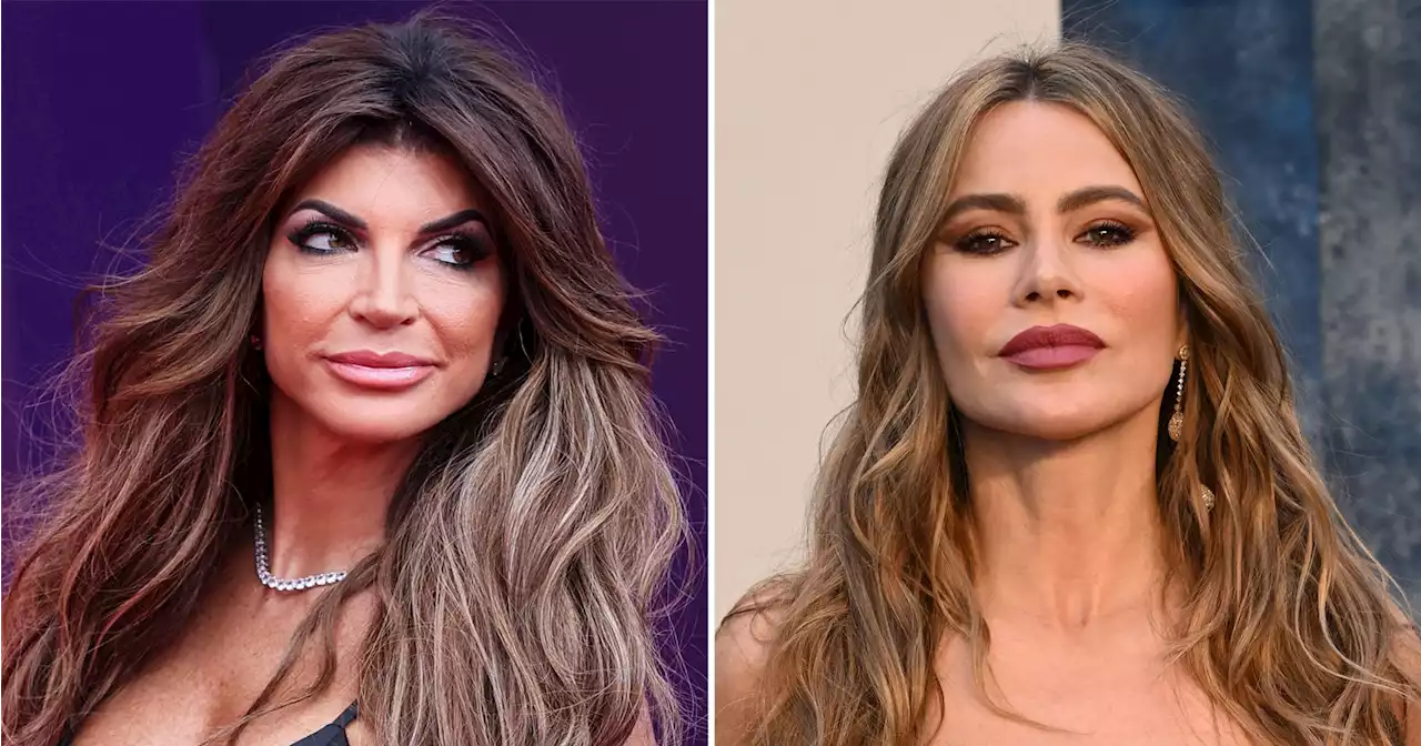 Teresa Giudice Calls Sofia Vergara the 'Rudest Woman' She Has Ever Met