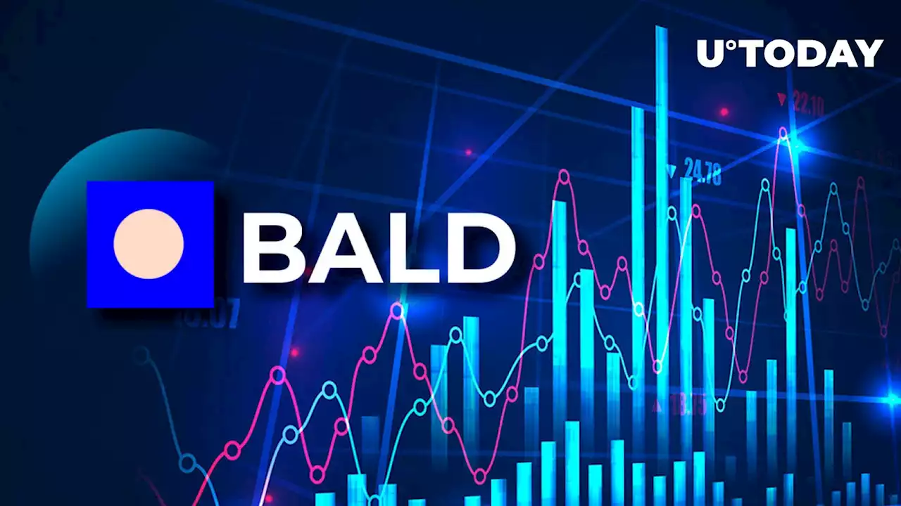 BALD Meme Coin up 30,000x as Connection to Coinbase Fuels Sentiment