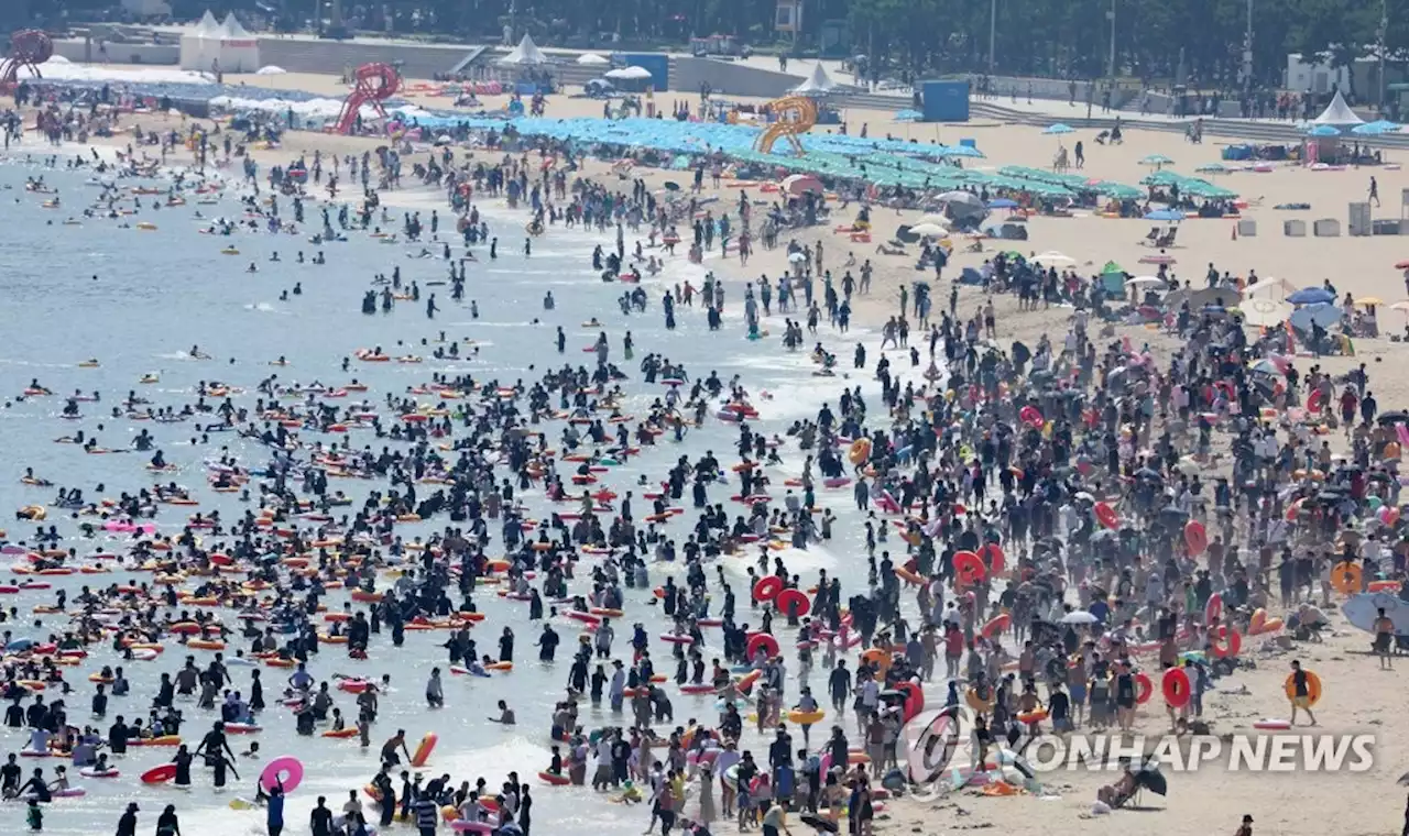 '피서 절정' 부산 7개 해수욕장에 주말 113만명 인파 | 연합뉴스