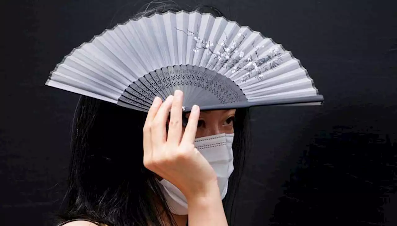 Al menos 17 muertos por la ola de calor que afecta a Corea del Sur