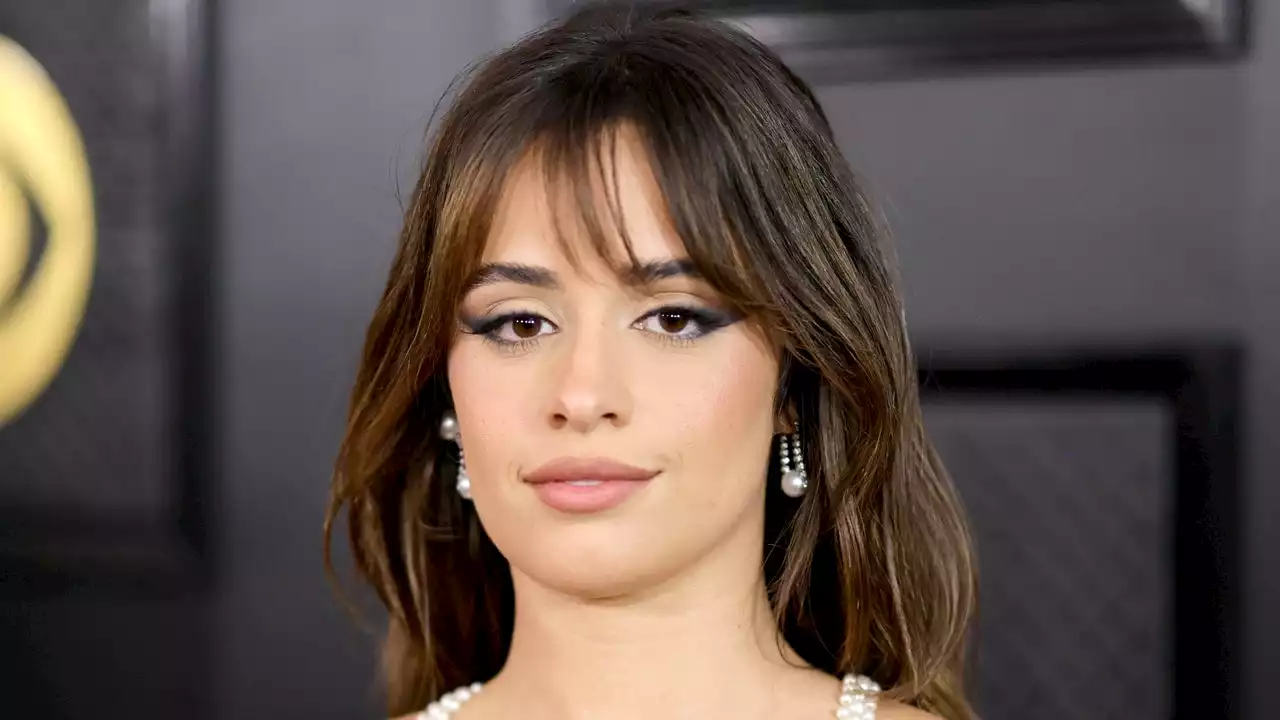 Camila Cabello's Updo Has More Tendrils in the Back Than It Does in the Front