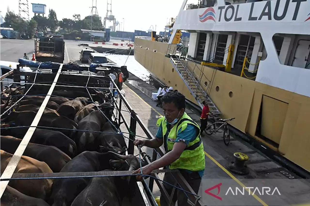 BPBD ingatkan potensi hujan ringan di Jaksel pada Selasa