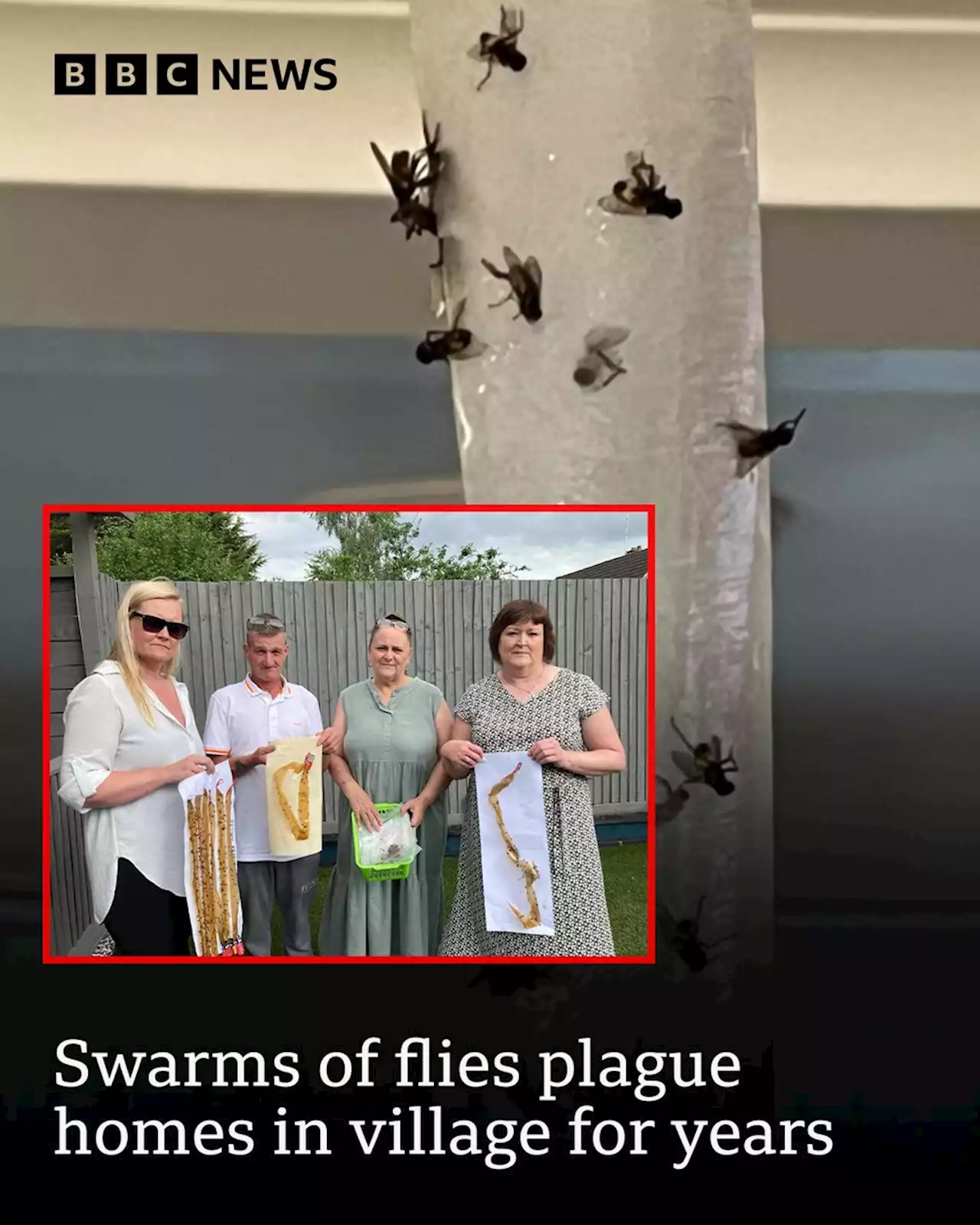 Swarms of flies plague homes in village for years