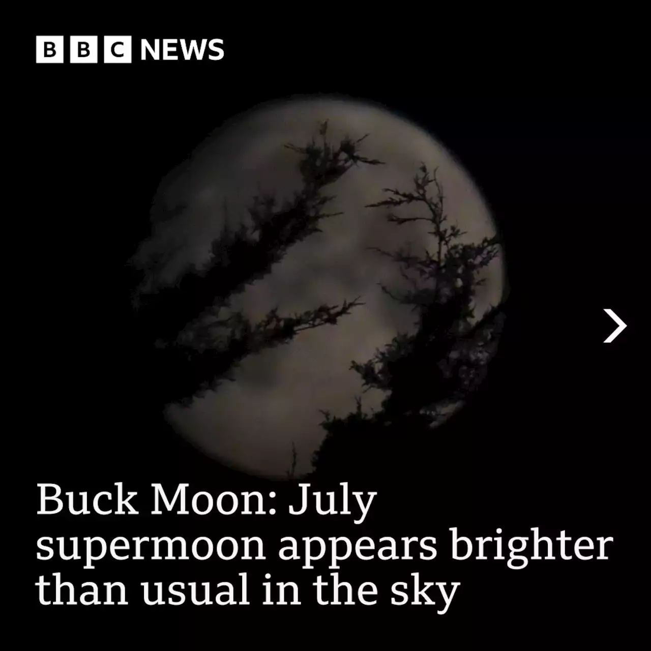 Buck Moon: July supermoon appears brighter than usual in the sky