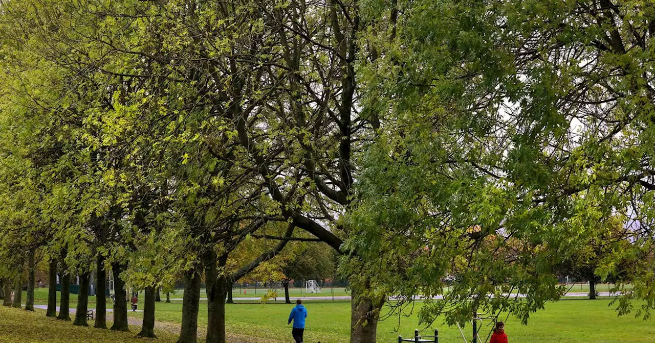 Belfast park ranked in top 10 UK picnic spots