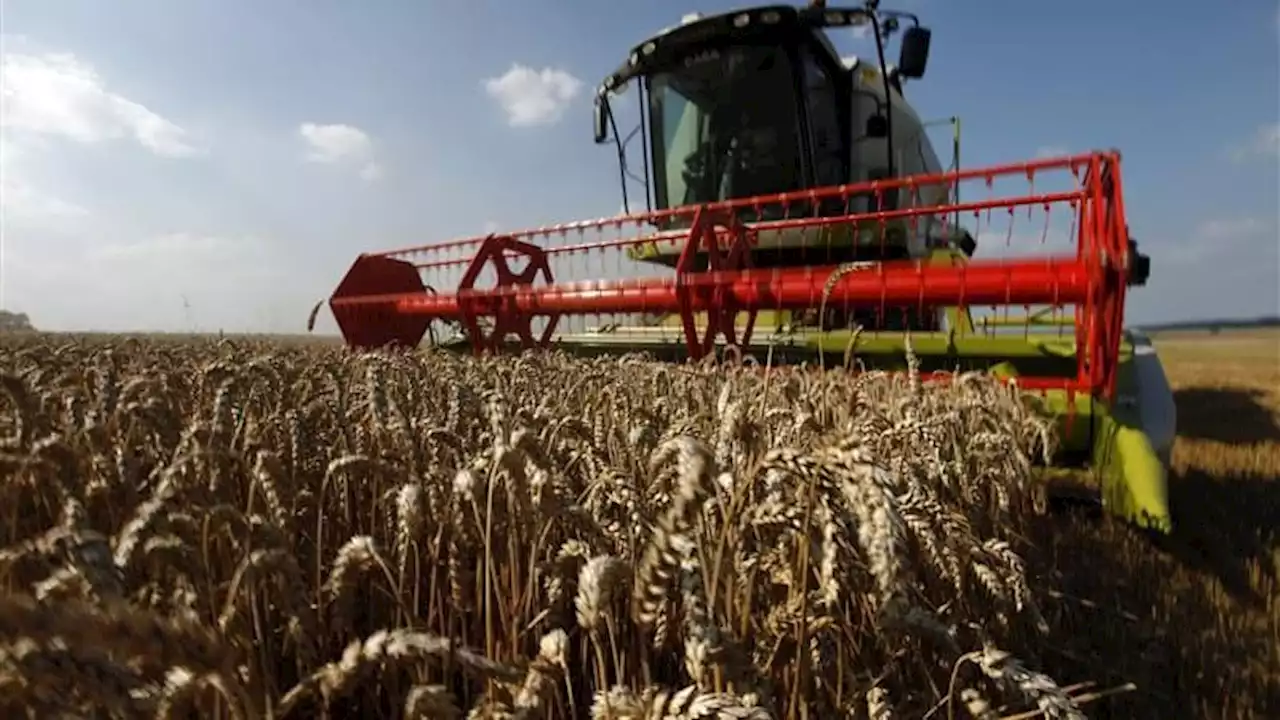 La Russie ne voit 'aucune raison' de prolonger l'accord sur les céréales ukrainiennes