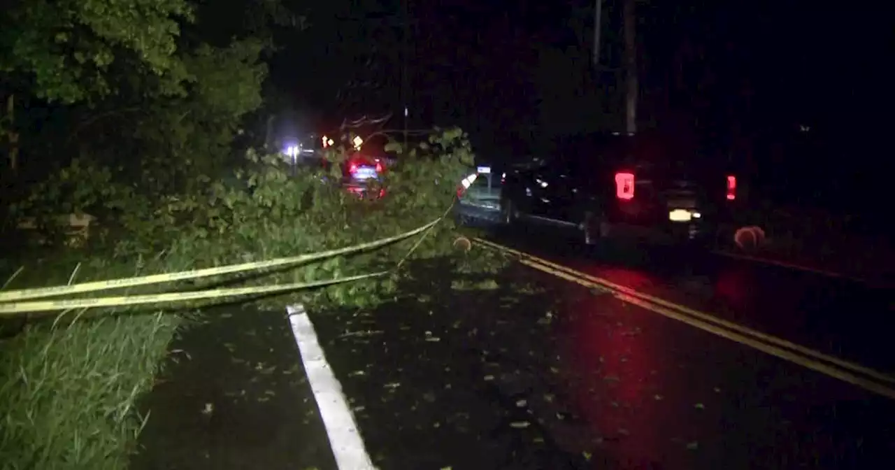 Fast-moving powerful storm takes down trees and power lines in Yorktown Heights