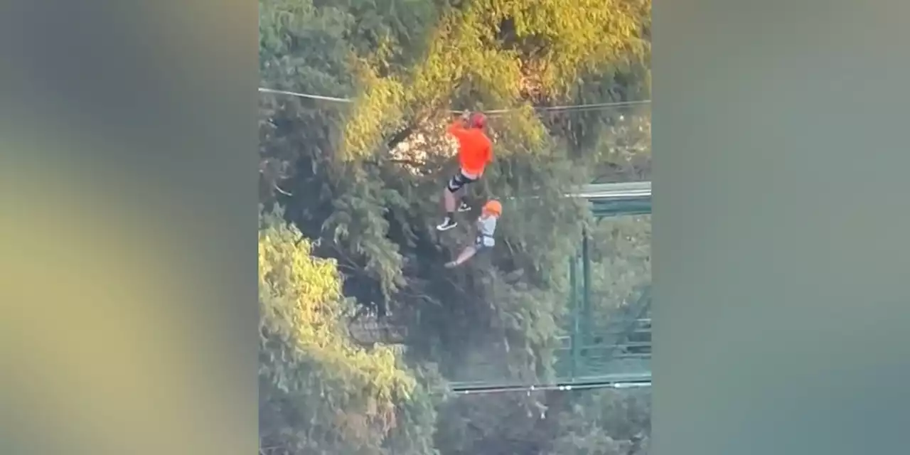 Video shows 6-year-old boy falling 40 feet off zip line after harness breaks, reports say