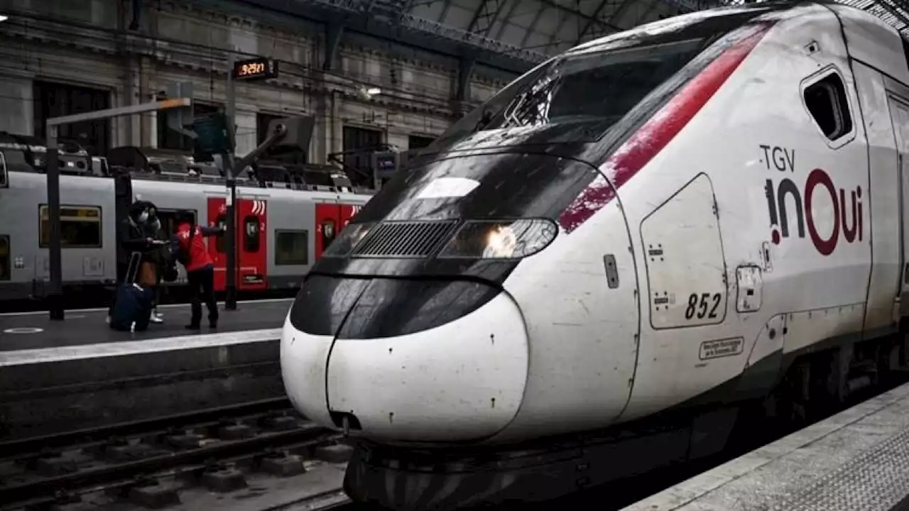 Chat écrasé par un TGV : la SNCF condamnée à une amende de 1.000 euros