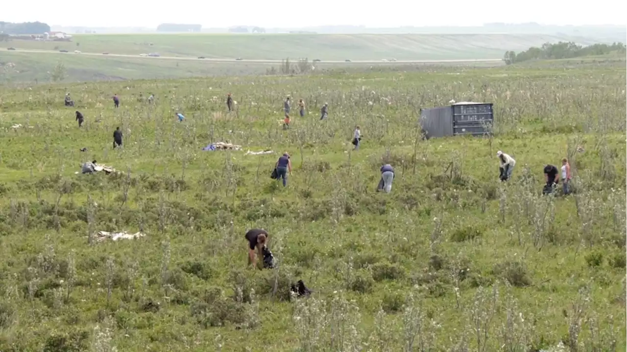 Hundreds volunteer to clean up after tornado hits south central Alberta